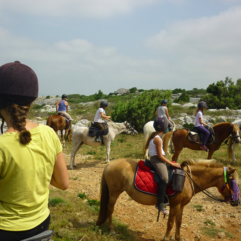 randonnée cheval narbonne